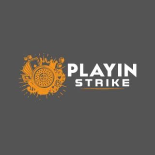 Playinstrike profile picture